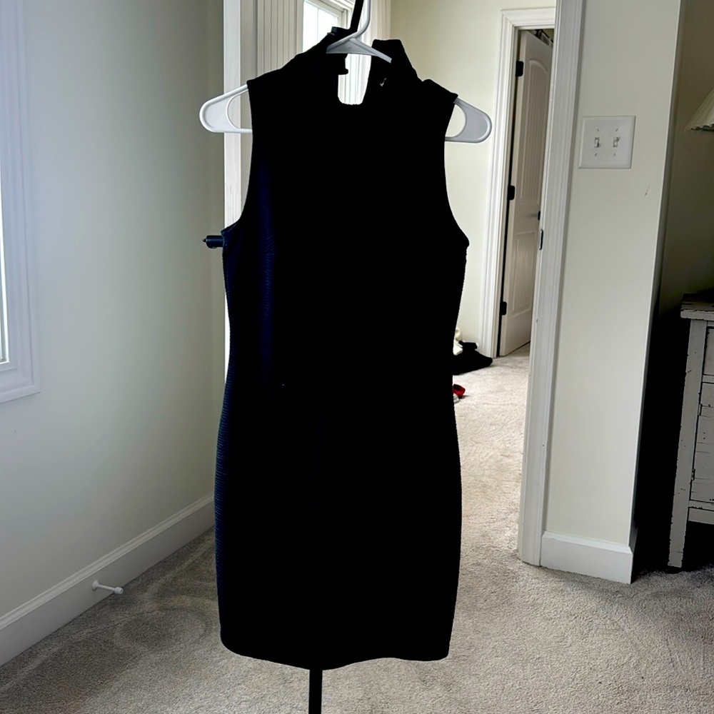 Black bb Dakota dress